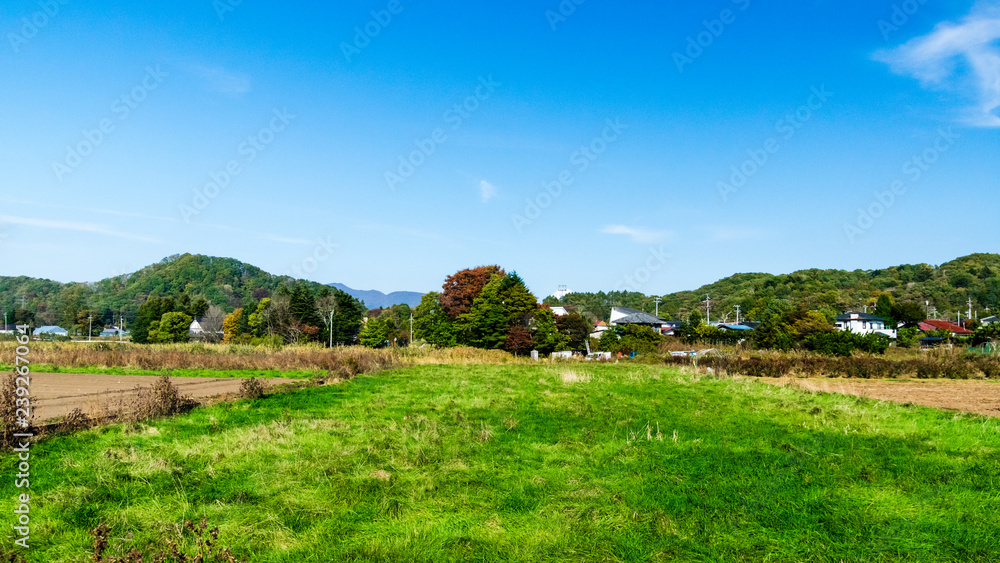 Naklejka premium 軽井沢の田園風景 秋
