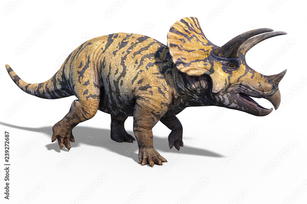 Fototapeta premium 3d render of a giant prehistoric dinosaur Triceratops