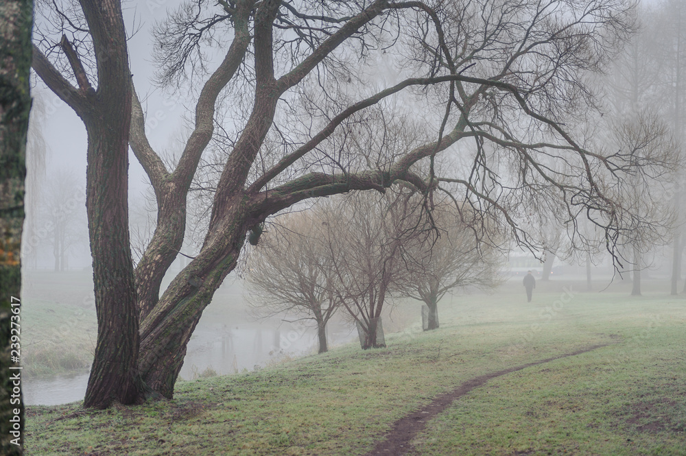 Footpath in the city park. Foggy winter landscape. Riga. Latvia. Mysterious park in fog.