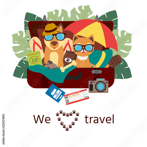 Pet travel. A cute dog and cat sitting in a suitcase and vacation accessories.  Logo for travel on a sticker, poster, card, business card for a travel company.