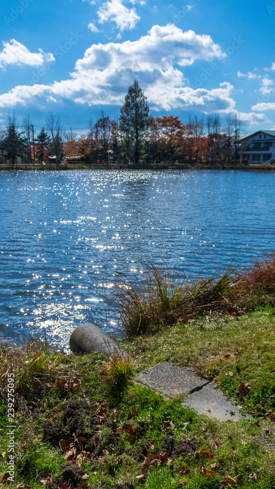 Naklejka premium 矢ケ崎公園 秋