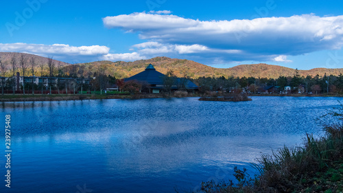 矢ケ崎公園 秋