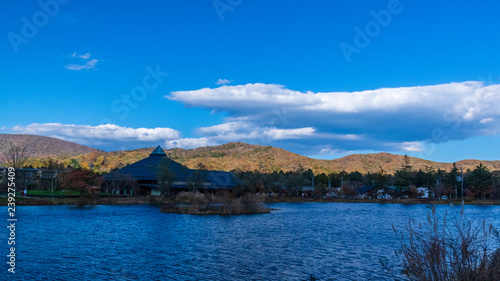 Wallpaper Mural 矢ケ崎公園　秋 Torontodigital.ca