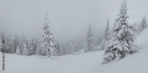 Panorama of heavy snow on top of the mountain. Cold foggy winter day. Trees covered in snow