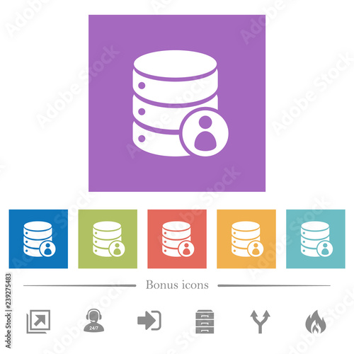 Database privileges flat white icons in square backgrounds