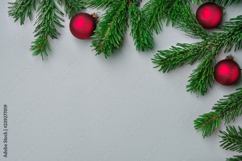 Fresh fluffy fir tree branches red balls on solid grey. Beautiful Christmas New Year background greeting card poster banner streamer template. Minimalist business style Fresh fluffy fir tree branches red balls on solid grey. Beautiful Christmas New Year background greeting card poster banner streamer template. Minimalist business style