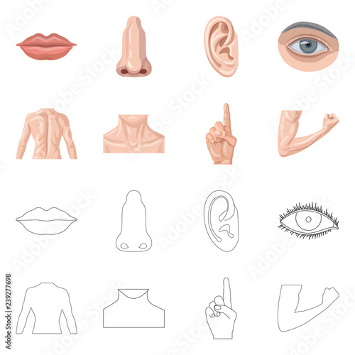 Vector design of human and part logo. Collection of human and woman stock symbol for web.
