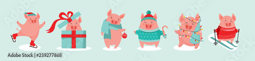 Collection of cute winter pigs. New 2019 year. Symbol of the year in the Chinese calendar. Vector cartoon isolated illustration. Year of yellow pig. - Vector