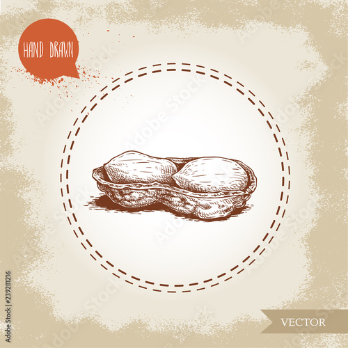 Hand drawn sketch style peeled peanut pod. Isolated on old looking background. Organic food, cosmetic component. Vector illustration.