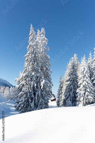  Winter wonderland in the Alps. Austrian countryside with a lot of fresh snow