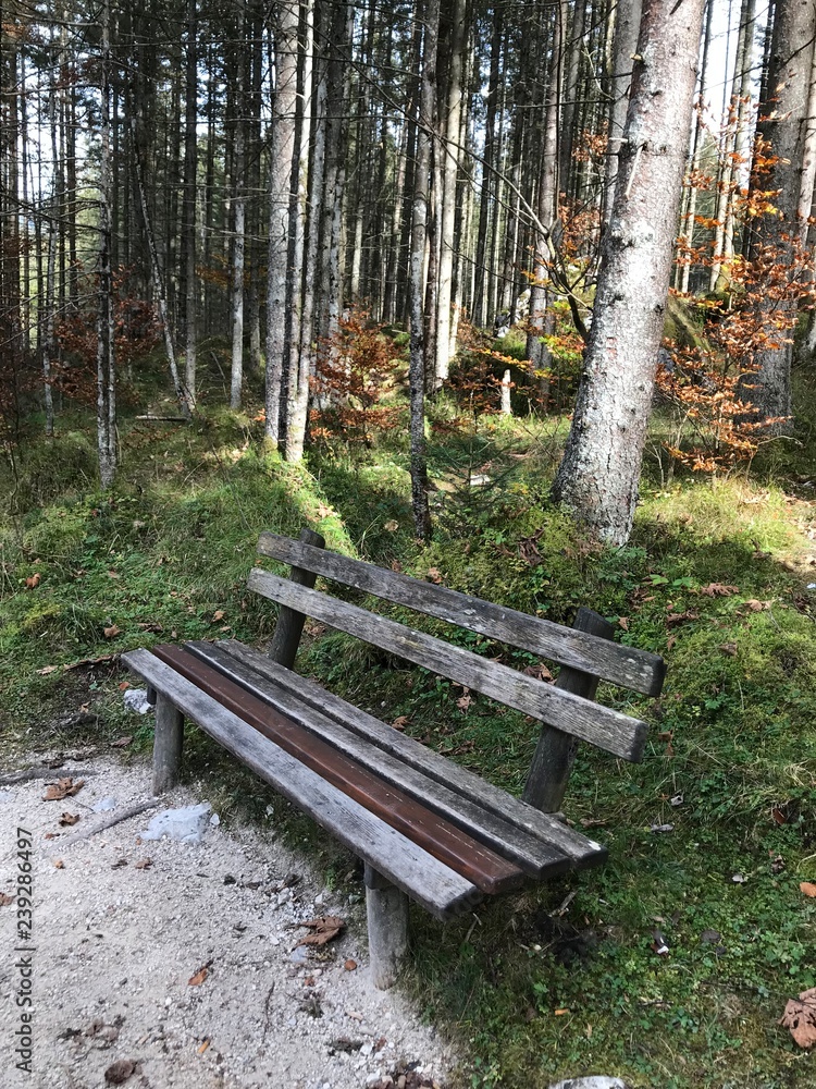place for the soul bench in the woods place for the soul bench in the woods