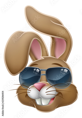 Easter bunny rabbit cartoon character in cool sunglasses or shades 