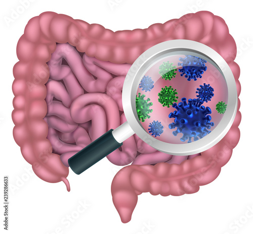 Medical illustration of gut bacteria being shown with a magnifying glass. Could be result of probiotics promoting good digestive flora or other microbes.
