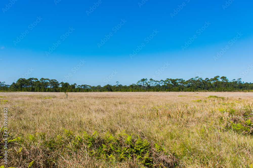 Nature views and sky at Phukradueng National Park Nature views and sky at Phukradueng National Park