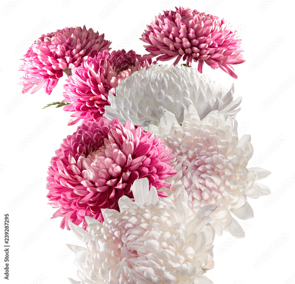 Isolated image of bouquet of flowers close up.