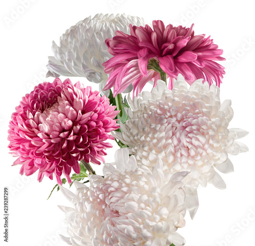Isolated image of bouquet of flowers close up.