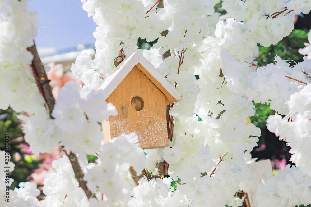 Wooden birds house in blooming cherry tree. Spring background