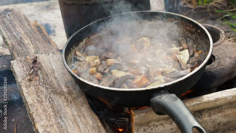 Cooking mushrooms on frying pan. Summer camping on beach. Kenozero national park, Russia. Cooking mushrooms on frying pan. Summer camping on beach. Kenozero national park, Russia.