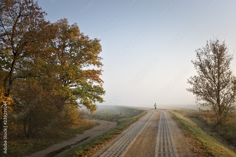 Fototapeta premium A woman with a dog on a misty morning in a forest