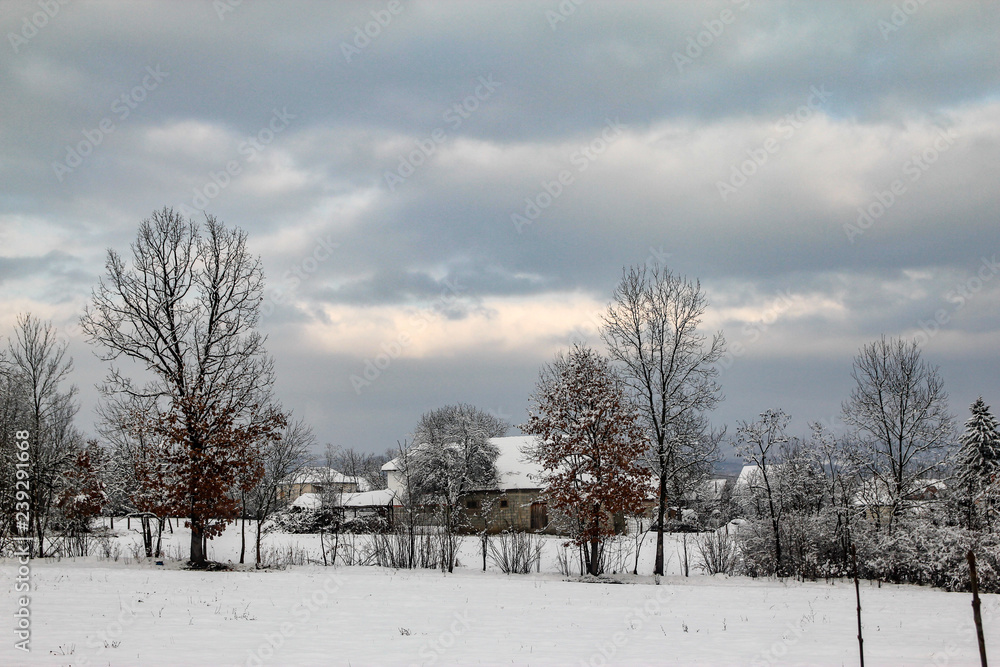 Winter village countryside landscape with snow on trees and roofs of houses Winter village countryside landscape with snow on trees and roofs of houses
