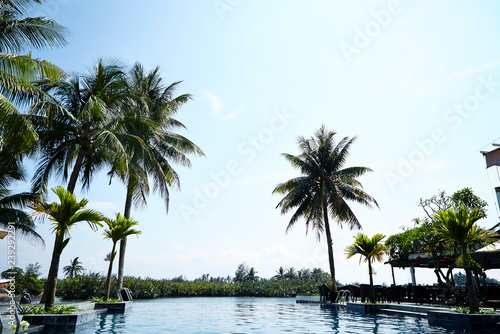 Palm trees at swimming pool 