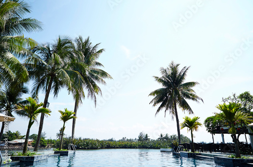 Palm trees at swimming pool 