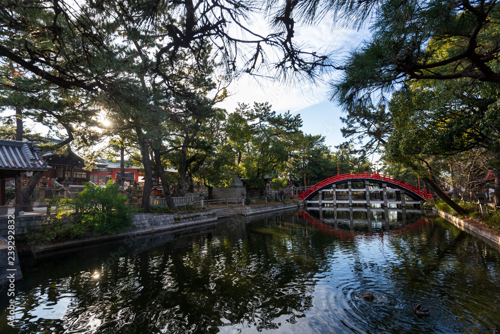 Early morning sun shines through trees along waterway with beautiful arched red bridge Early morning sun shines through trees along waterway with beautiful arched red bridge