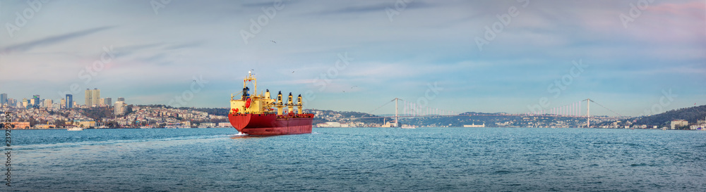 Cargo ship on Bosphorus