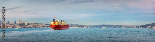 Cargo ship on Bosphorus © Igor Strukov