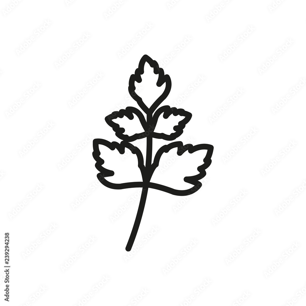 Parsley outline icon, vegetable symbol, healthy food vector sign isolated on white background. branch of greenery