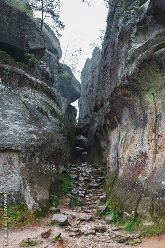 View on Dovbush rocks/ Wildlife Dovbush, Ivano-Frankivsk Oblast, Ukraine. Skeli Dovbusha Rock Climbing Area. Cleft in rocks during cloudy rainy weather.