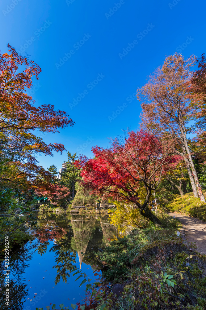 紅葉の甘泉園公園 上池の風景