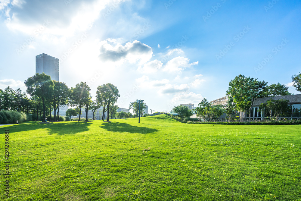 green lawn with city skyline