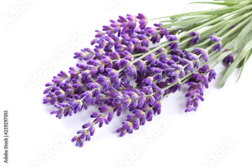 Fototapeta Naklejka Na Ścianę i Meble -  Bouquet of lavender.