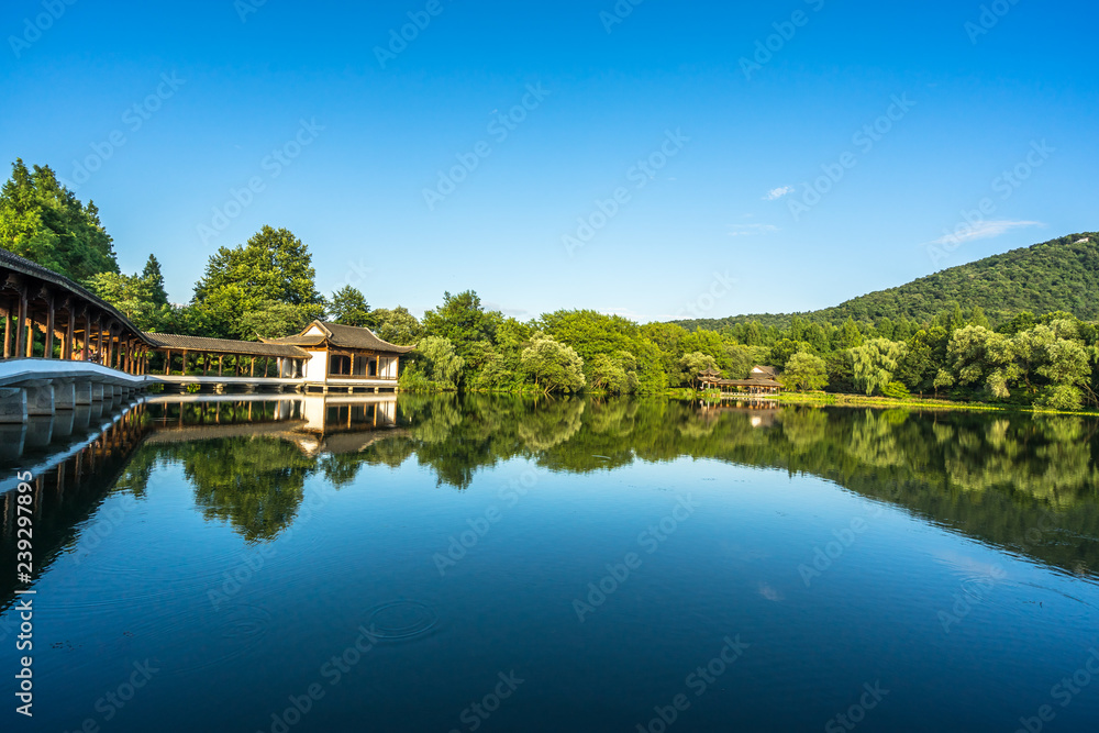 lake in the park