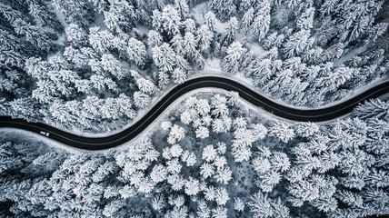 Driving in forest after snowfall, aerial drone view