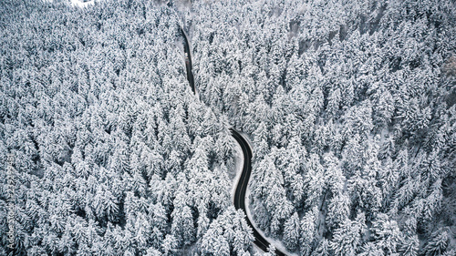 Curvy road line in winter scenery, aerial view