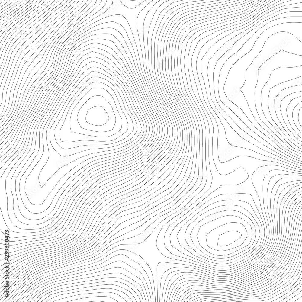 Topographic abstract contour map  background. Elevation map. Hollow curved outline. Topological map vector.Geography and topography vector illustration plan.