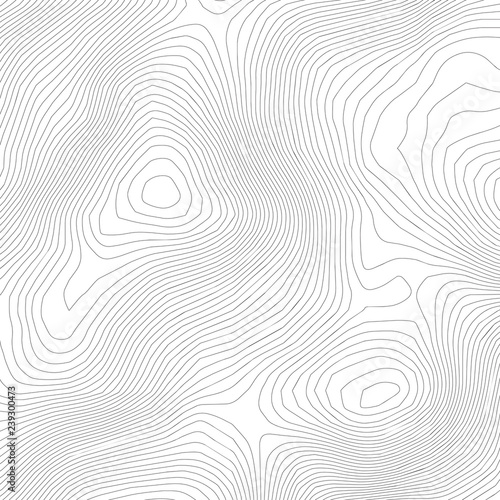Topographic abstract contour map  background. Elevation map. Hollow curved outline. Topological map vector.Geography and topography vector illustration plan.