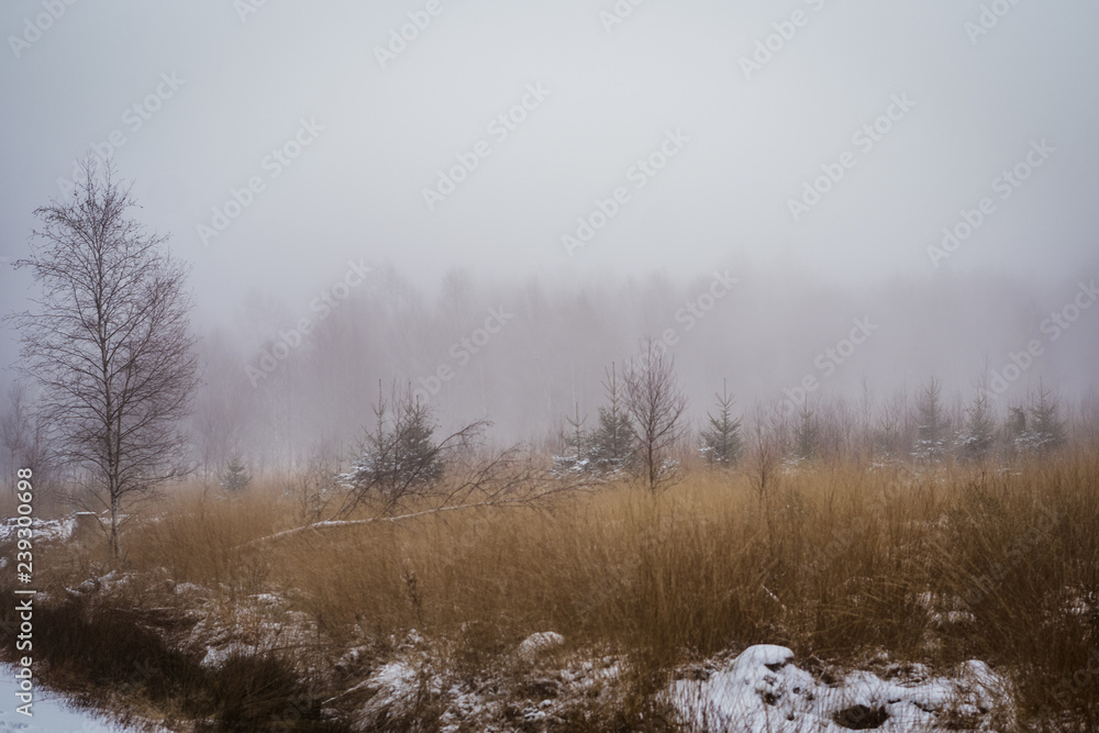winterliche Nebellandschaft Wanderung winterliche Nebellandschaft Wanderung