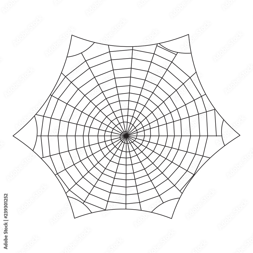 Obraz premium Spiderweb vector background. Halloween design. Cobweb decor isolated on the white.