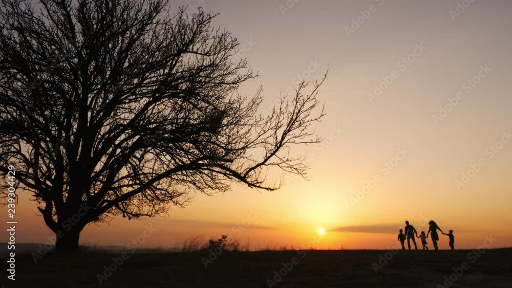 Silhouettes of happy family walking together in the meadow during sunset