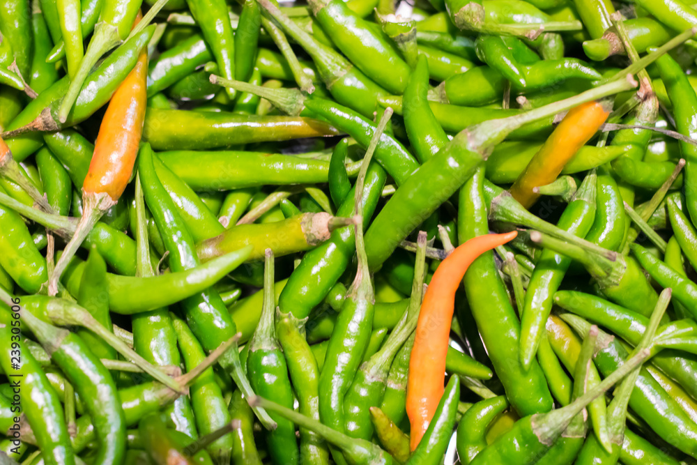 green and orange chili or peppers for sale in the Vegetable market. green and orange chili or peppers for sale in the Vegetable market.