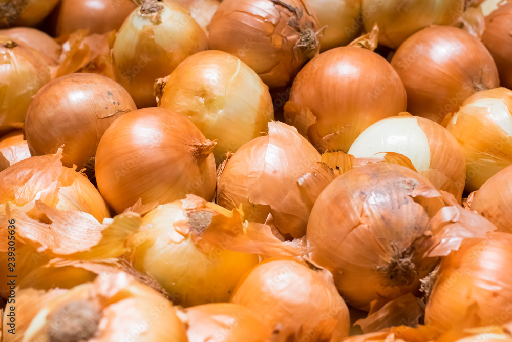 Fresh onions background, Vegetables for healthy. Fresh onions background, Vegetables for healthy.