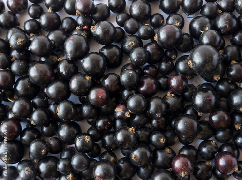 Background of black currants. Fresh berries closeup. Top view. Background of fresh berries. Various fresh summer fruits. Black food. Background of blackcurrants.