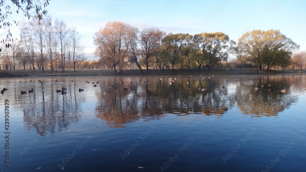 Autumn in Saint Petersburg parks in october 2018 Autumn in Saint Petersburg parks in october 2018