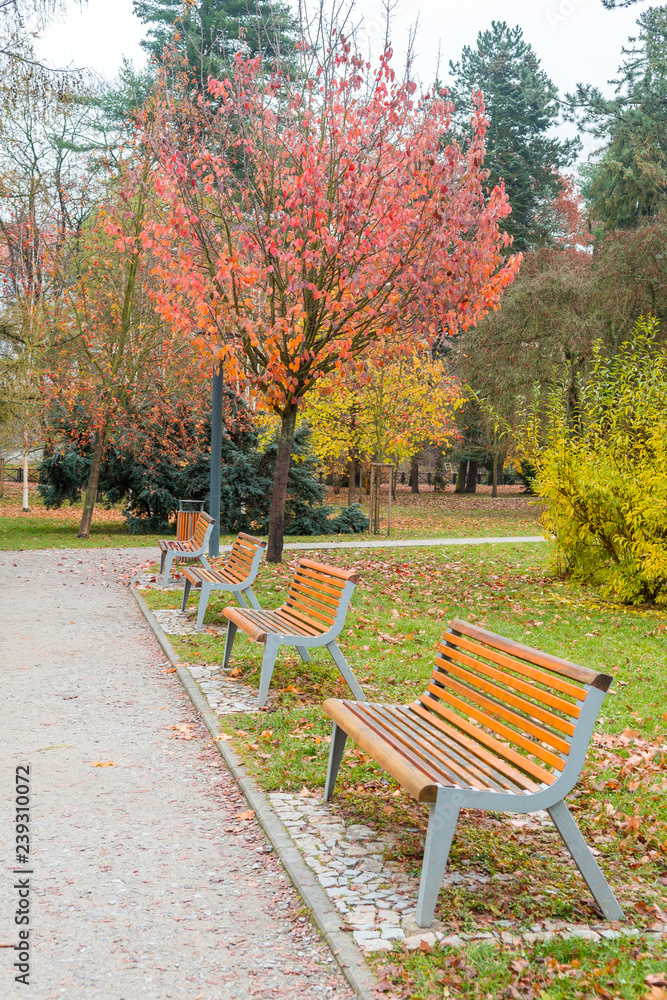 colorful autumn landscape in public garden colorful autumn landscape in public garden