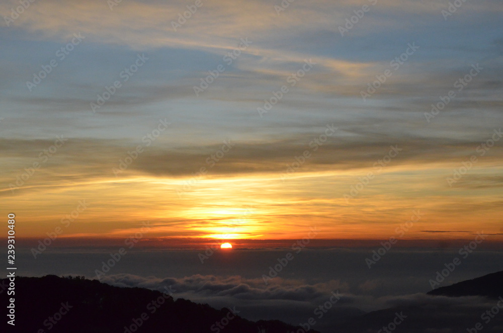 Fototapeta premium Sunrise