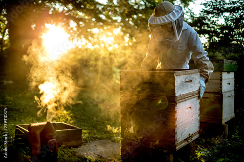 beekeeper working with beehive photo