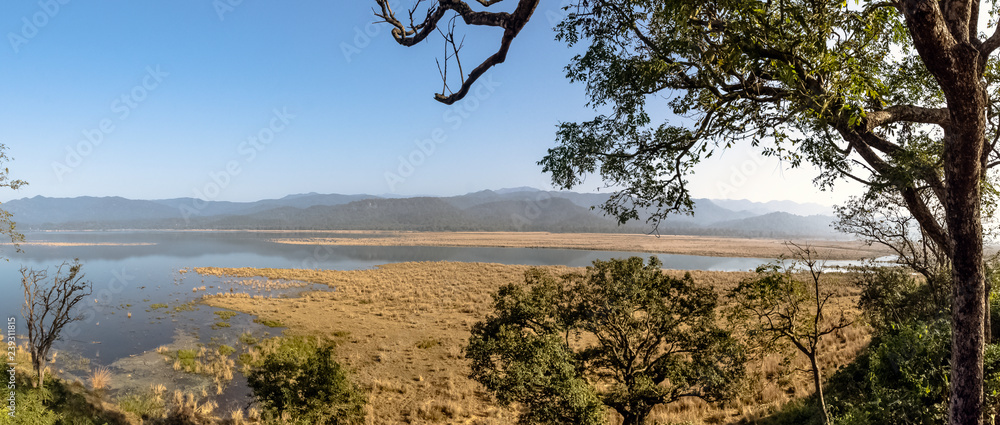 Panorama of Kosi River in Jim Corbett National Park, India - obrazy, fototapety, plakaty 